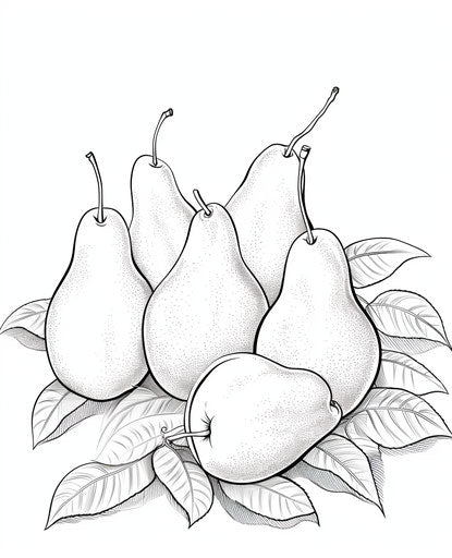 Pears coloring page 2 fruit coloring pages, in the style of precisionist lines and shapes, expressive use of line 25:31