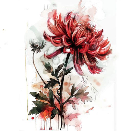 November birth flower in watercolor on white background