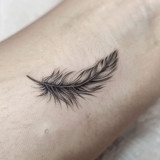 Graceful black feather floating on white background