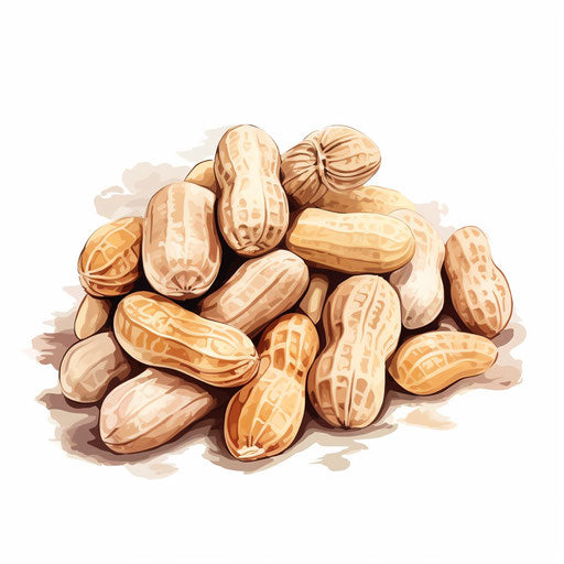 Peanut illustration in Pastel Colors Art style