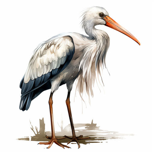 Stork drawing in the style of Chiaroscuro Art