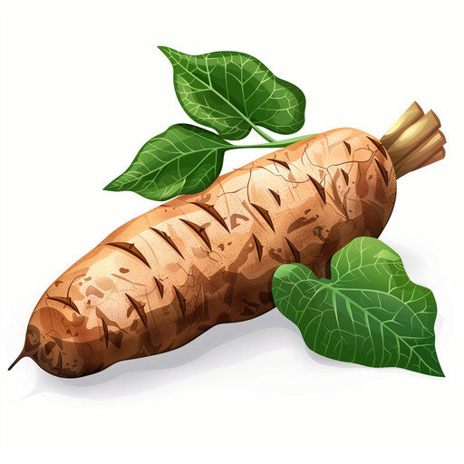 Photo realistic yam clipart on flat white background with dynamic shadows