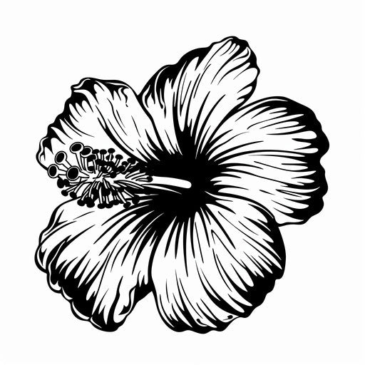Minimalist flat tattoo sketch of a Hawaiian flower