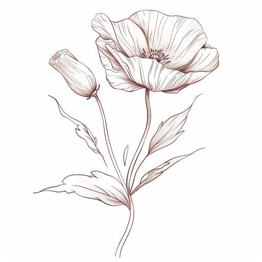 An elegant poppy in fine line tattoo style with subtle shading