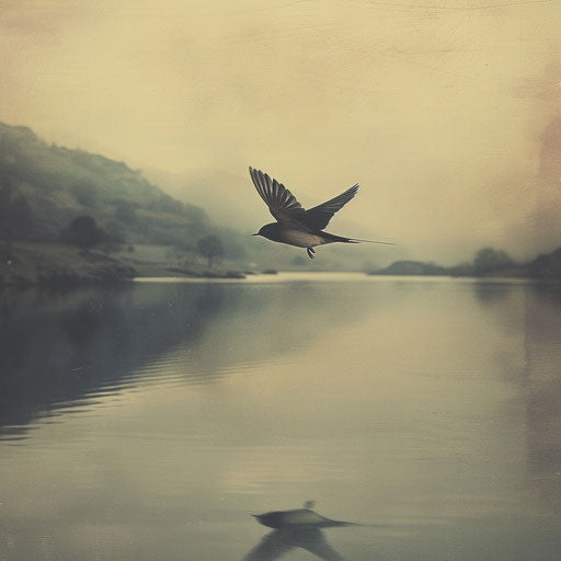 Barn swallow bird flying over a serene lake