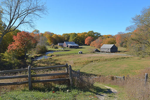 Picturesque autumn landscape in New England