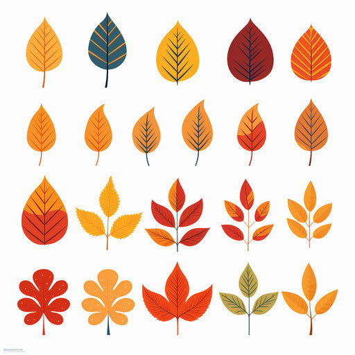 Autumn leaves clipart in Minimalist style, on white background