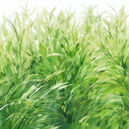 Grass illustration in the style of Impressionistic Art, on white background