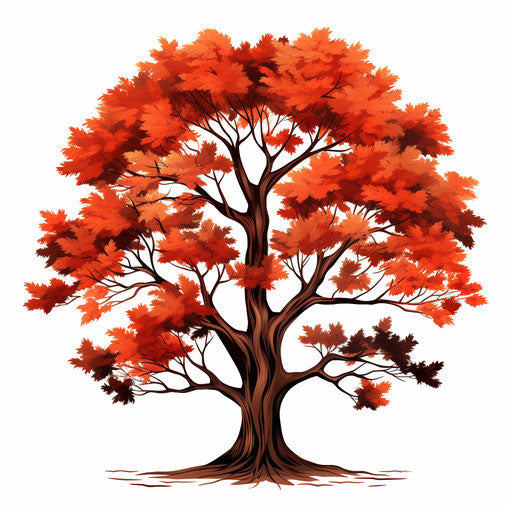 Autumn tree in the style of Chiaroscuro Art, on white background