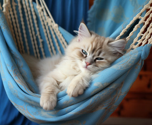 Blue striped kitten in a light beige and silver hammock, exciting texture