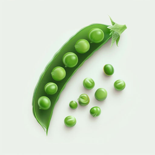 Photorealistic peas clipart on flat white background, strong contrasts and soft shadows