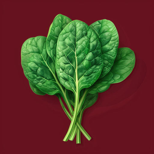 Realistic spinach clipart on rich burgundy background