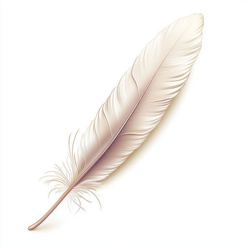 3D quill in photo realistic style with a flat white background, isolated clipart