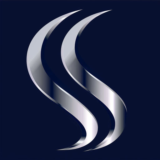 Corporate logo with sleek lines and a professional look, in navy blue and silver