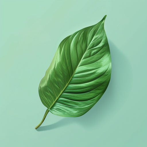 Realistic green leaf on flat, serene aqua background