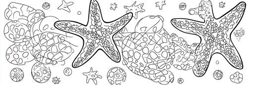 Very simple starfish coloring book page 3:1