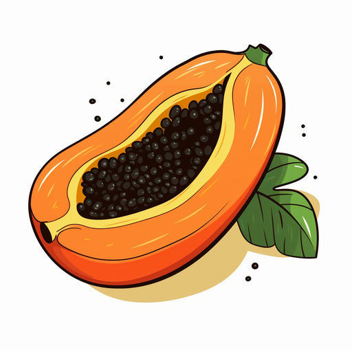 Papaya clipart in Minimalist style, on white background