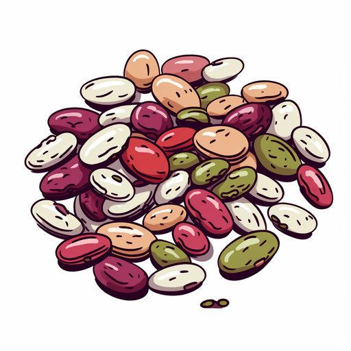 Minimalist beans illustration on white background