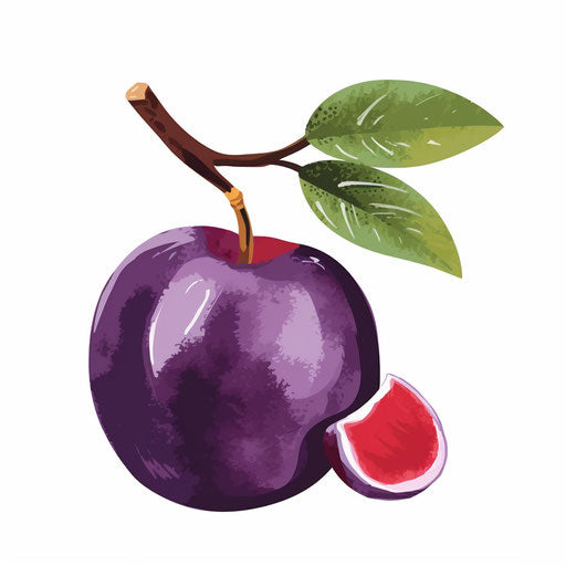Minimalist style plum illustration, on white background