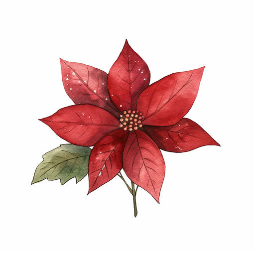 Minimalist style poinsettia clipart on white background