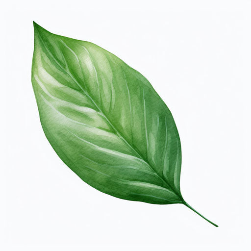 Green leaf clipart in the style of Oil painting, on a white background