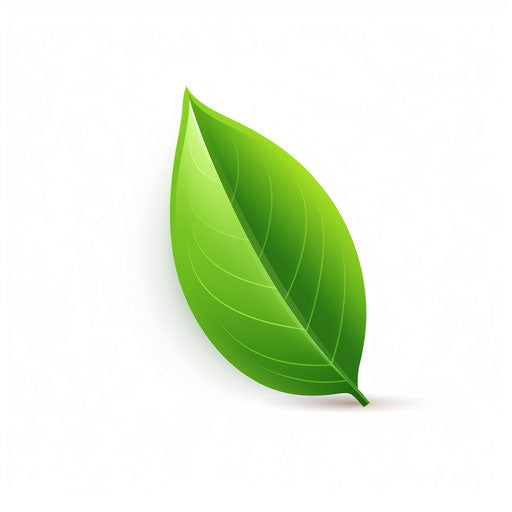 Green leaf clipart in Minimalist style on white background