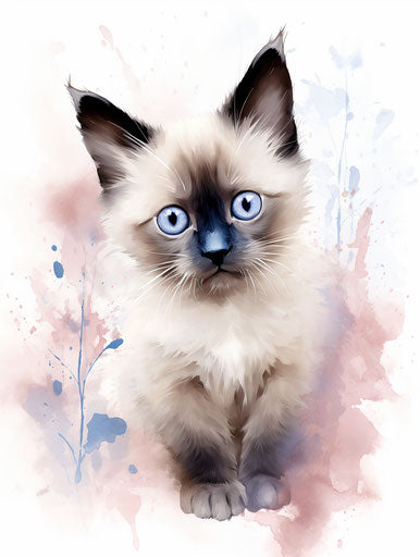 Siamese kitten on white, light maroon and light beige
