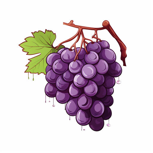 Minimalist grapes illustration on white background