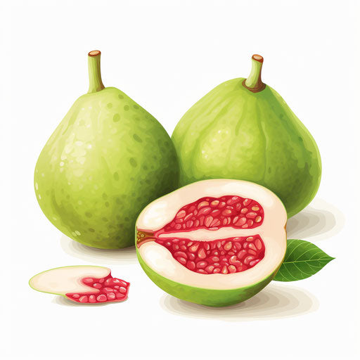 Guava illustration in the style of oil painting, on white background
