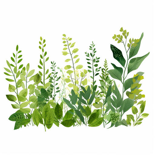 Greenery artwork in Minimalist style, on white background