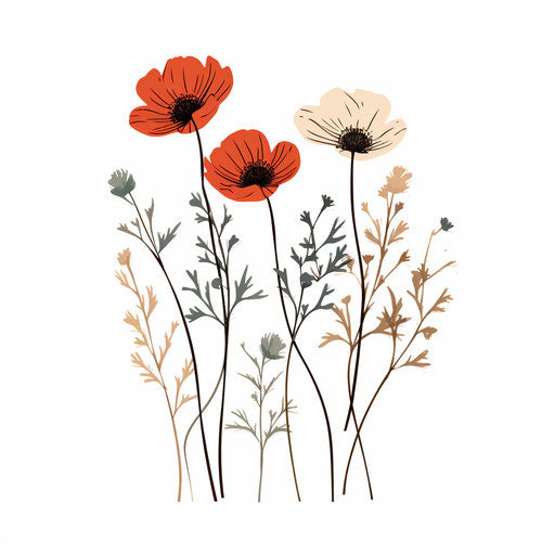 Wildflower illustration in the style of Minimalist, on white background