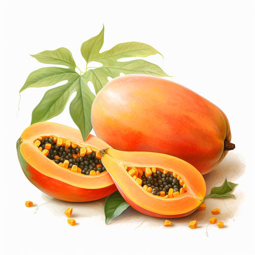Papaya clipart in the style of Oil painting, on a white background