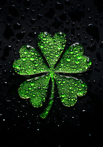 Shamrock with water droplets, black background, vibrant green