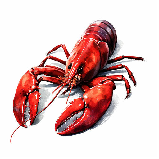 Chiaroscuro Art: lobster clipart on white background