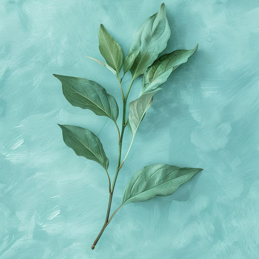 Realistic July illustration on a flat, serene aqua backdrop