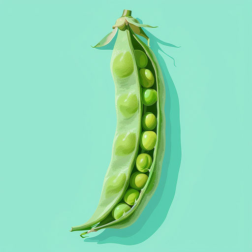 Realistic peas clipart on flat turquoise background