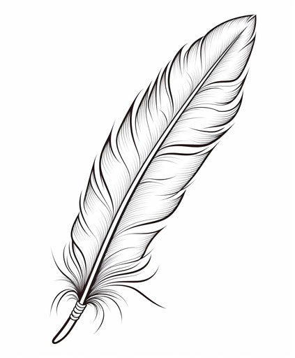 Feather feather outline vector illustration in captivating style, pen and ink 64:77