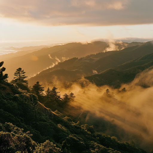 Mount Tamalpais bathed in the golden light of sunrise