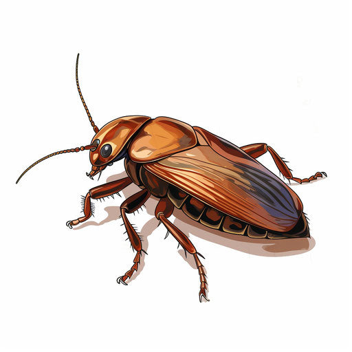 Cockroach illustration in Chiaroscuro Art style