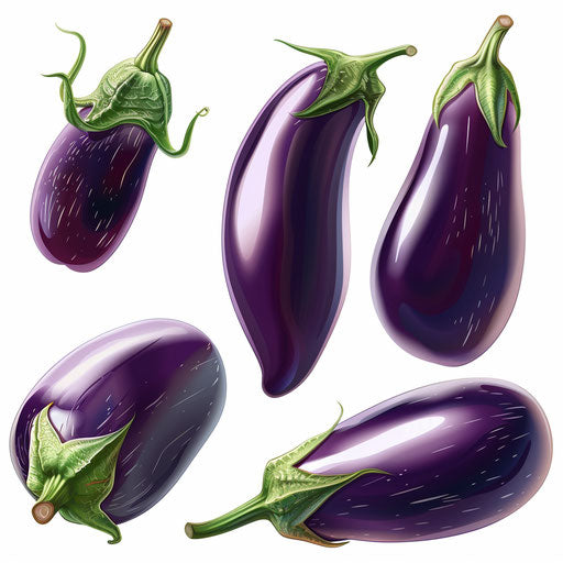 Eggplant clipart in a photo realistic style on white background