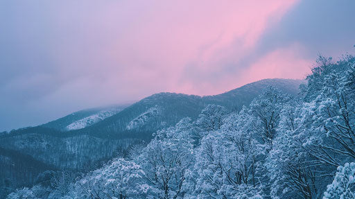 Snowy Appalachian slope, copy space on the right, pink twilight
