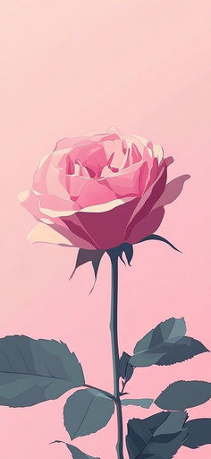 Pink rose background, pink color scheme, flat view, mobile wallpaper 29:63