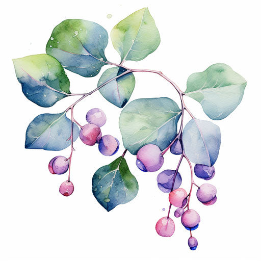 Watercolor-style honesty clipart on white background