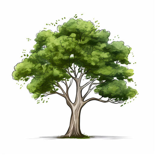 Minimalist tree illustration on white background