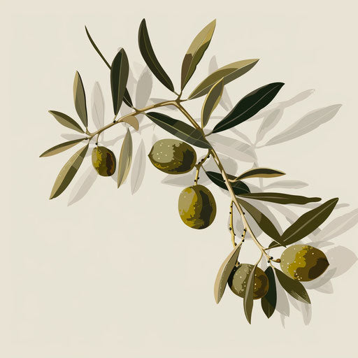 Realistic olive clipart on flat white background, subtle details