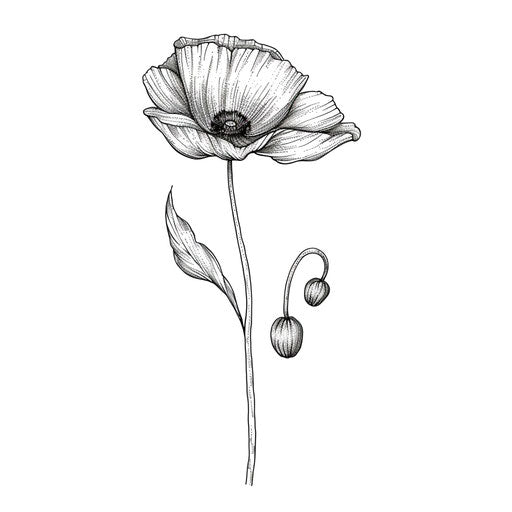 Elegant poppy in fine line tattoo style on white background