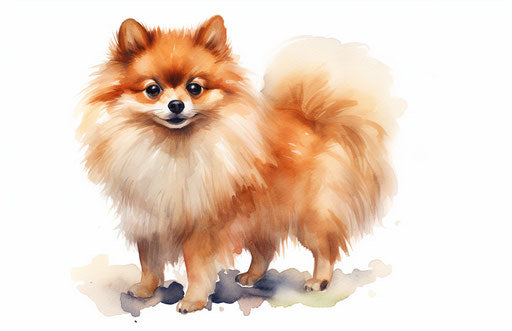 Small dog on white background, light orange and light maroon