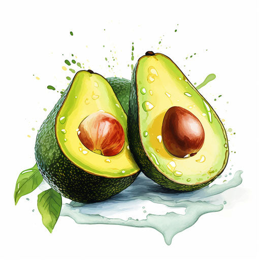 Avocado clipart in the style of Impressionistic Art, on white background