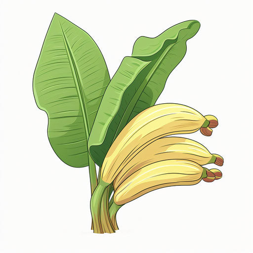 Illustration of a Banana Tree in the Style of Pastel Colors Art