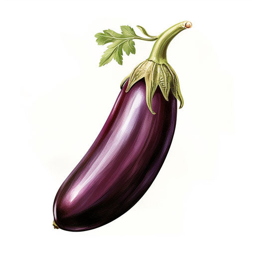 Eggplant clipart in the style of Chiaroscuro Art, on white background